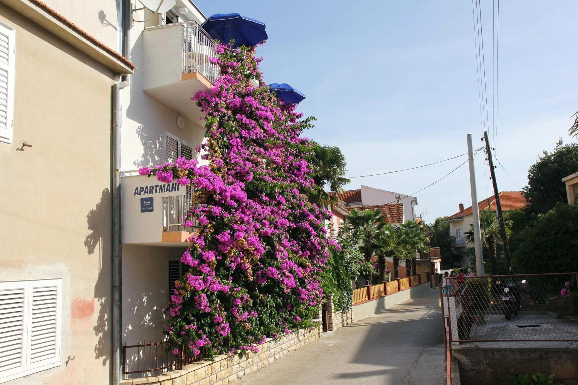 Apartments J&R Babara Biograd Na Moru Oda fotoğraf